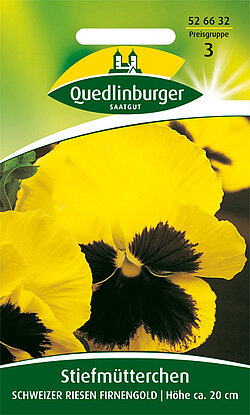 Stiefm&uuml;tterchen Schweizer Riesen Firnengold