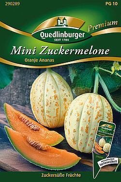 Mini Zuckermelone Mini Zuckermelone