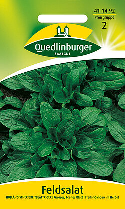 Holl&auml;ndischer Feldsalat