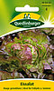 Eissalat Rouge grenobloise