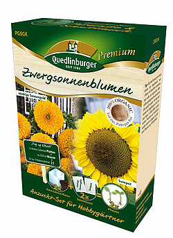 Anzucht-Set Zwergsonnenblumen