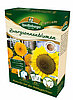 Anzucht-Set Zwergsonnenblumen