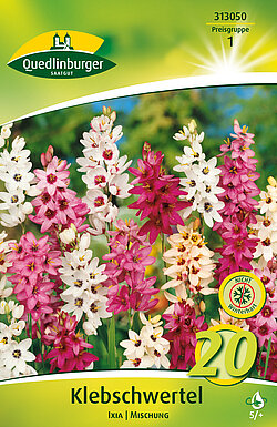 klebschwertel-ixia-mischung-313050