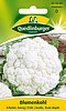 Blumenkohl Erfurter Zwerg