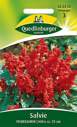 Salvien Feuerzauber Salvien Feuerzauber