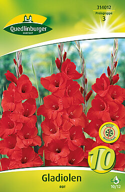 gladiolen-rot-314012