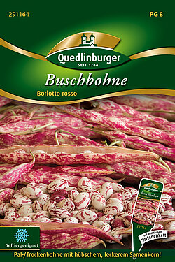 Buschbohne Borlotto rosso