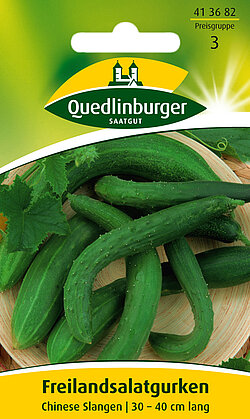 Freilandsalatgurken Chinese Slangen
