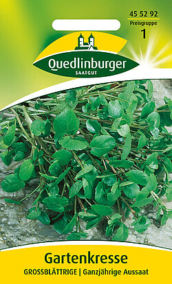 Grossbl&auml;ttrige Gartenkresse