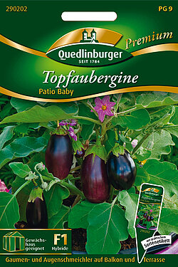 Topf-Aubergine Patio Baby