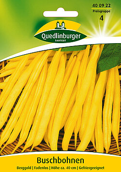 Buschbohnen Berggold