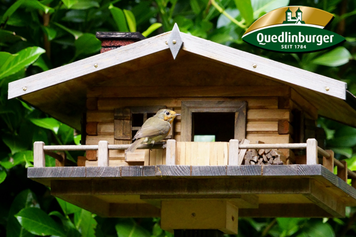 Vogelhaus mit Rotkehlchen