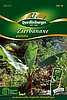 Zierbanane gr&uuml;nlaubig