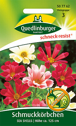 Schmuckk&ouml;rbchen Sea Shells