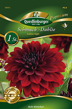 schmuck-dahlie-arabian-night-34015