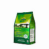 Schattenrasen 1,0kg