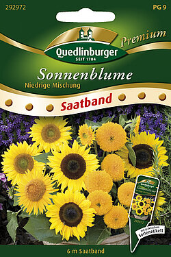 Sonnenblumen niedrig