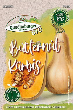 Butternut K&uuml;rbis