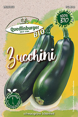 Zucchini
