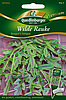 Wilde Rauke Dragon&rsquo;s tongue