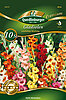 schmetterlings-gladiolen-zweifarbige-mischung-34070