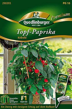 Topf-Paprika Kobold