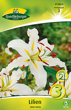 lilien-gelb-weiss-313064