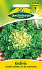 Endivien Escariol gr&uuml;ner