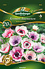 kronen-anemonen-bicolor-mischung-34000