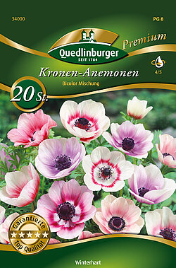 kronen-anemonen-bicolor-mischung-34000