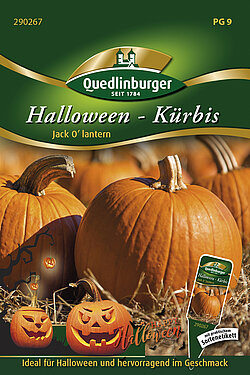 Halloween - K&uuml;rbis Jack O'lantern