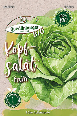 Kopfsalat