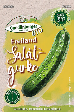 Freiland Salatgurke mittelfr&uuml;h