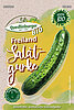 Freiland Salatgurke mittelfr&uuml;h