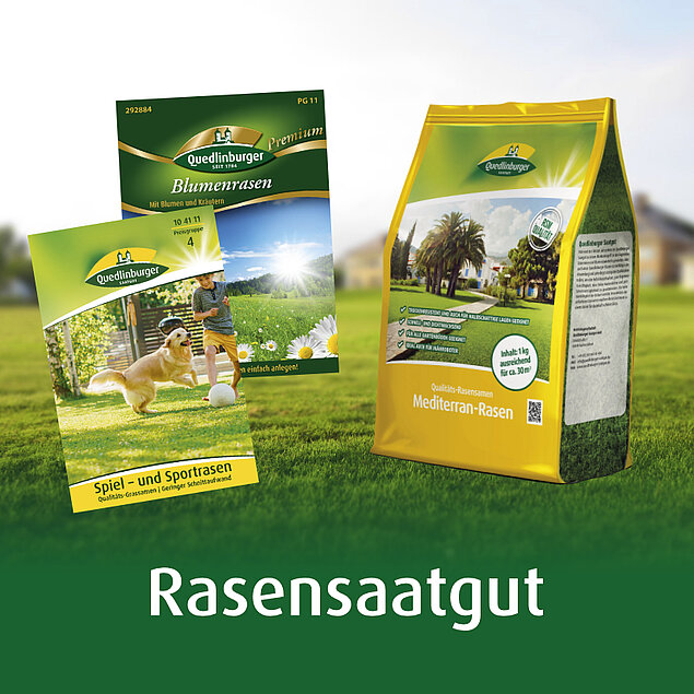 Rasensaatgut
