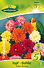 topf-dahlien-unwins-mischung-308846