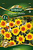 mignon-dahlie-sunshine-34050