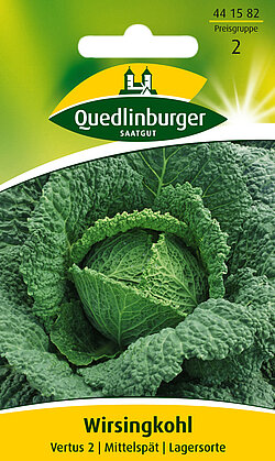 Wirsingkohl Vertus 2